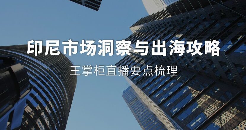 印尼市场洞察与出海攻略：王掌柜直播要点梳理